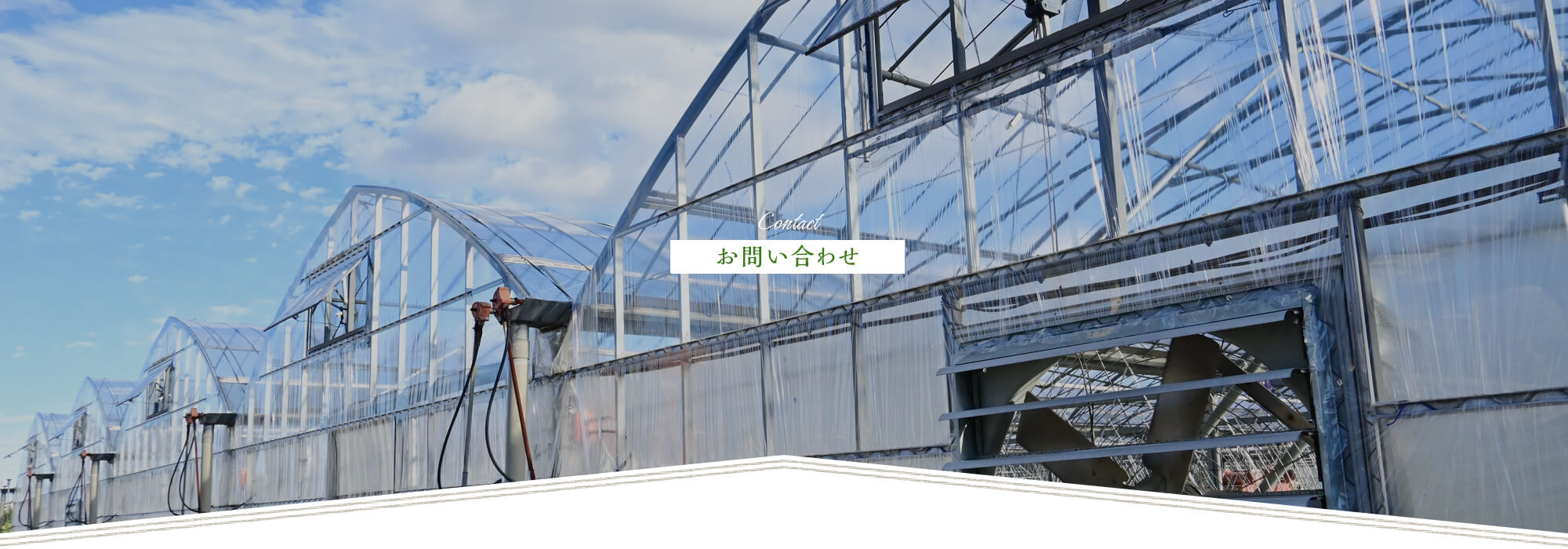お問い合わせ